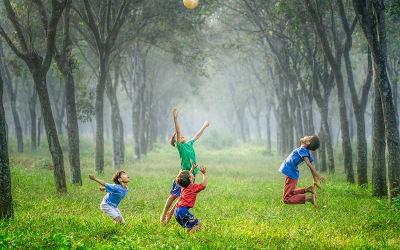 Nature Detectives Trail: Great Yarmouth for Kids