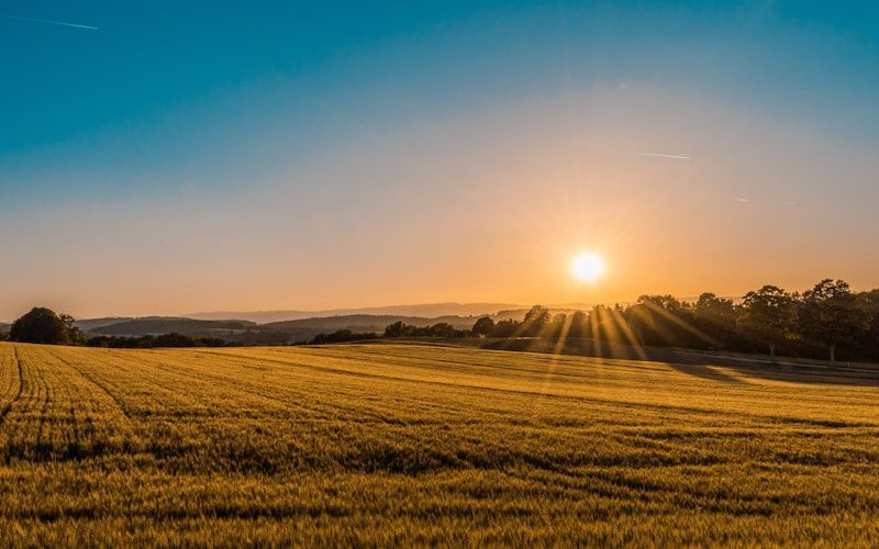 Exploring the Norfolk Broads from Great Yarmouth: A Complete Guide